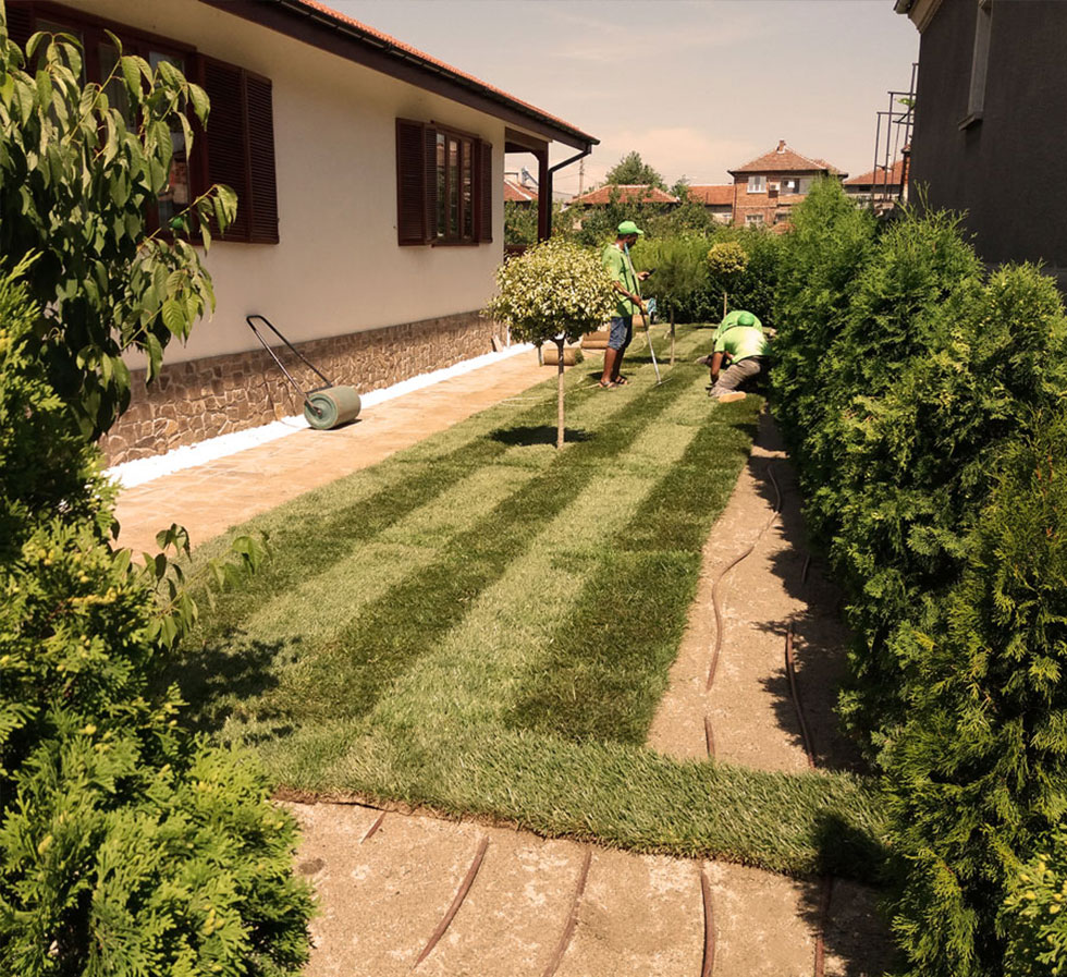 Irrigation