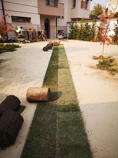 Landscape Maintenance