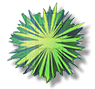 Tree icon